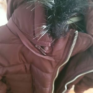 Express Winter Jacket